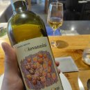 팡파레 | 후쿠오카 텐진 맛집 리스토란테 팡파레 방문 후기