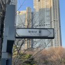 디자익
