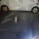 세븐일레븐 두산위브점 이미지