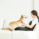 서울앤 동물병원 이미지