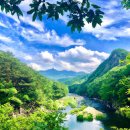 금월봉관광지 이미지