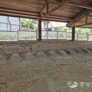 동탄센트럴파크 풋살구장 이미지