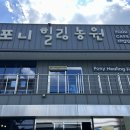 태인어린이집 | 경산 와촌 포니힐링농원 다녀왔습니다!