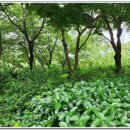 구의유수지수변공원 네이버블로그