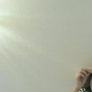 여명결혼정보 이미지