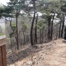산불감시철탑 이미지