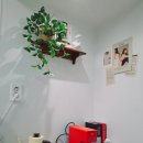 머니스테이 팔공산점 이미지