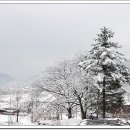 설국 - 강남구 남부순환로 2806 | 설국