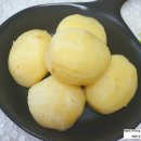 성준농장 | 제주자연농장 제주감자와 제주레드비트로 포실포실 맛있는 감자도 삶아서 먹고 비트장아찌도 만들어...