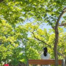[삼척] 삼척 직접 다녀온 여행 코스 | 추천 명소와 비추천 명소 솔직 후기