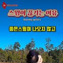 골프의 스윙 연습 이미지