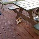 씨유 거제학동몽돌점 이미지