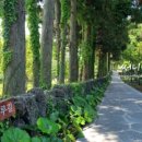 서귀포시청2청사 앞 이미지