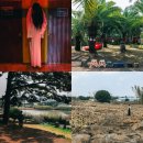 제주 수산리 곰솔 | 제주 애월 가볼만한곳 제주도 놀거리 BEST5