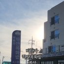 바닷가하얀목화밭
