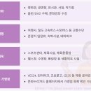 (주)누리여행사 이미지