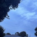 세화 동백그늘 이미지