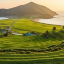 후인농장 이미지