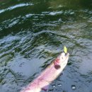 솔치팬션 이미지