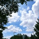 석남우리약국 | 매일이 열탕에서 헤엄치는 기분이지만 괜찮아