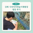 시리미로 | 강화도 시리미자연놀이체험장 후기 | 자연 속에서 뛰놀기 좋은 아이들 놀이터