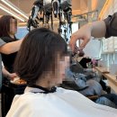 한주프라자 | 검단신도시 미용실 써드힐헤어 단발볼륨매직 후기