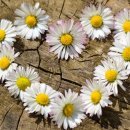 유안아파트 이미지