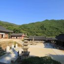 구례군청소년문화의집 | [계절여행] 지리산 피아골 단풍 절정 시기와 구례 화엄사 가을 여행
