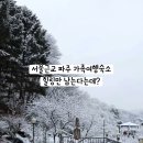 초리꽃팬션