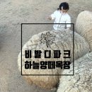서유목장 네이버블로그