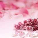 좋은세상 이미지