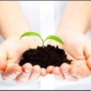 나무쉼터 이미지