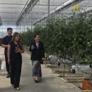 케이에스팜(주) 이미지