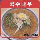 경상동물병원 | 함안 국수나무 가볍게 먹기 좋은 가성비 맛집