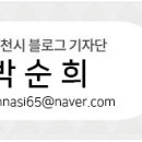 삼산잔디공원 이미지