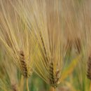 로얄파크여관 이미지