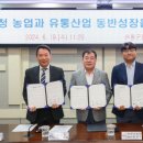 팜팜코퍼레이션
