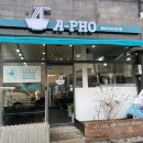 양지-3569 | 부평구청역 맛집 '아포' 맛있는 쌀국수와 공심채볶음 식사