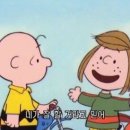 엠클라인 이미지