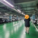 신생프라자 이미지