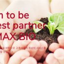 코스맥스주