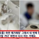 서울송파동물병원