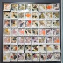 톡바른경희한의원 이미지