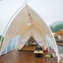 클럽프리모 네이버블로그