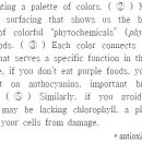 은천동-39 이미지
