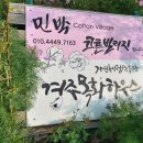 수운민박 티스토리