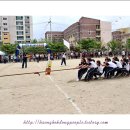 대구강동초등학교 이미지