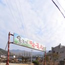 올레막국수 이미지