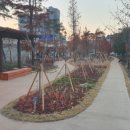 축구센터 다목적광장 이미지