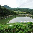 관광농원낚시터 이미지